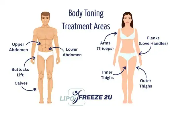 Graphic showing where you can have Body toning Treatment Northampton on your body